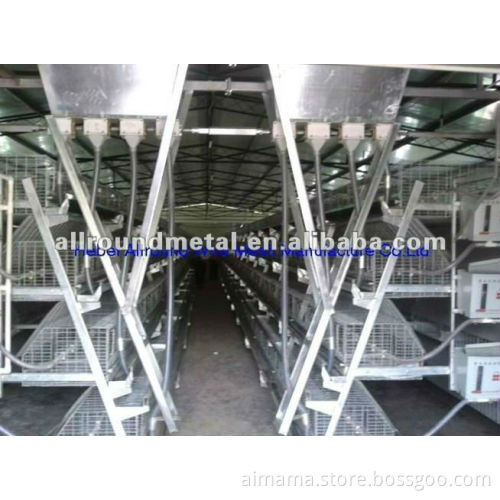 broiler cage
